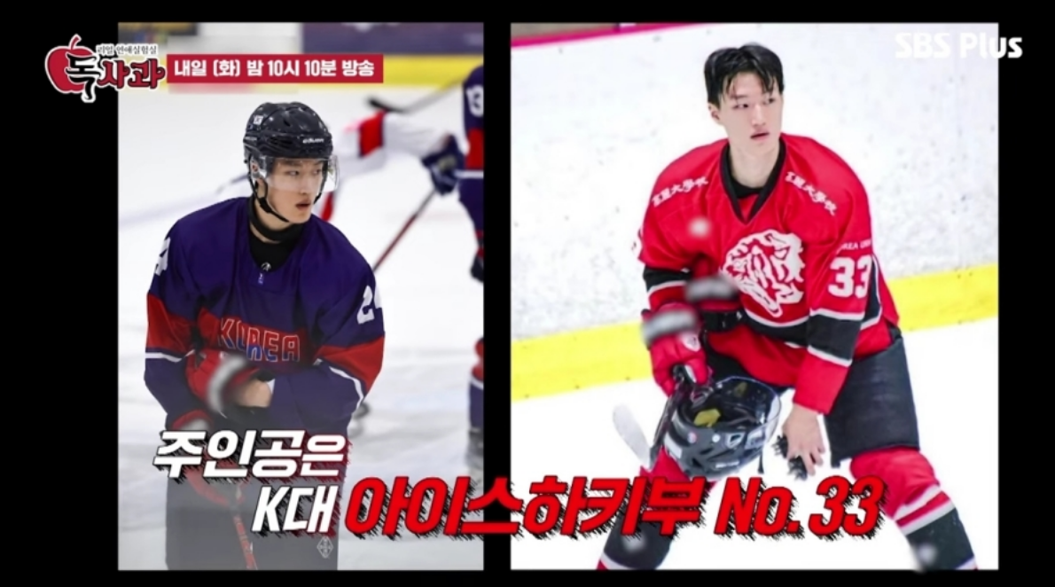 독사과 애플녀 한이수 프로필