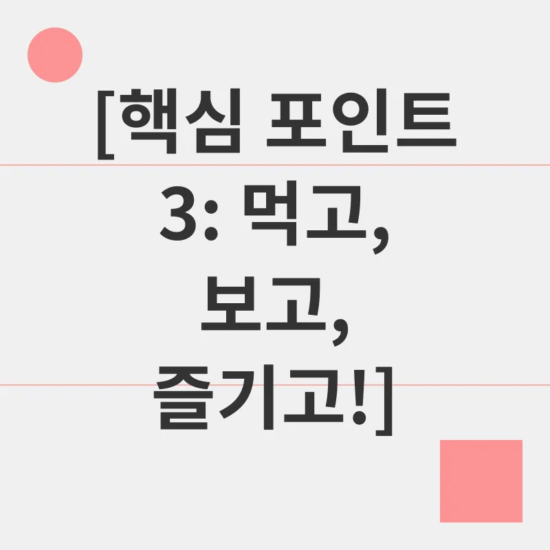 홍콩 디즈니랜드 여행_3