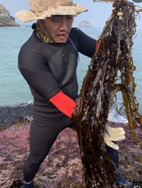 극한직업-맹골도-돌미역-택배-주문-어디