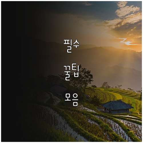 건강한 군 생활 2025 군인 금연 ..