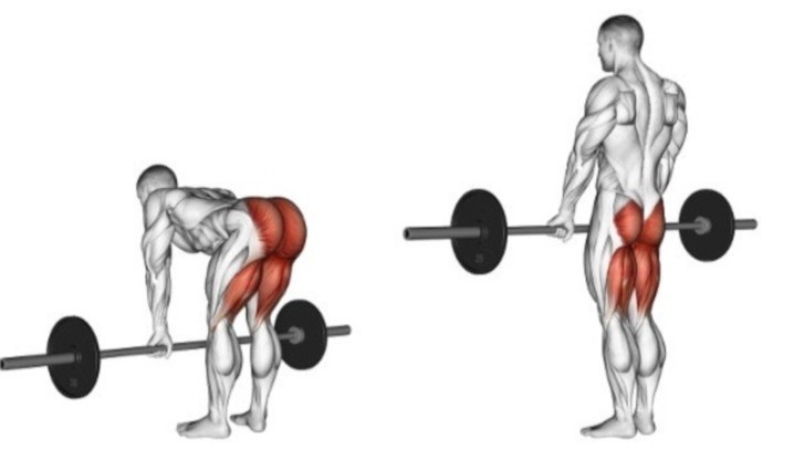 루마니안 데드리프트 하는 모습