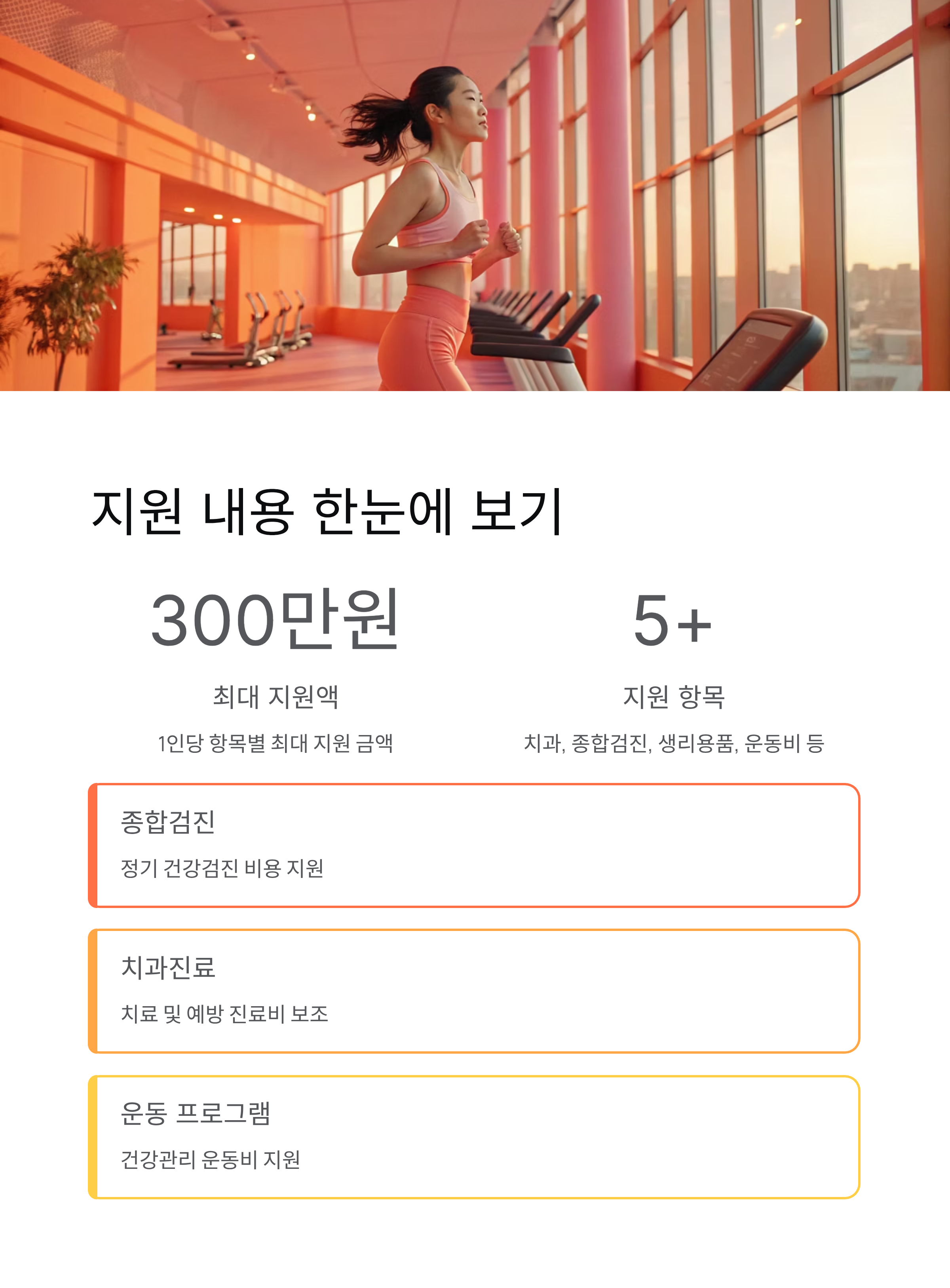 지원내용