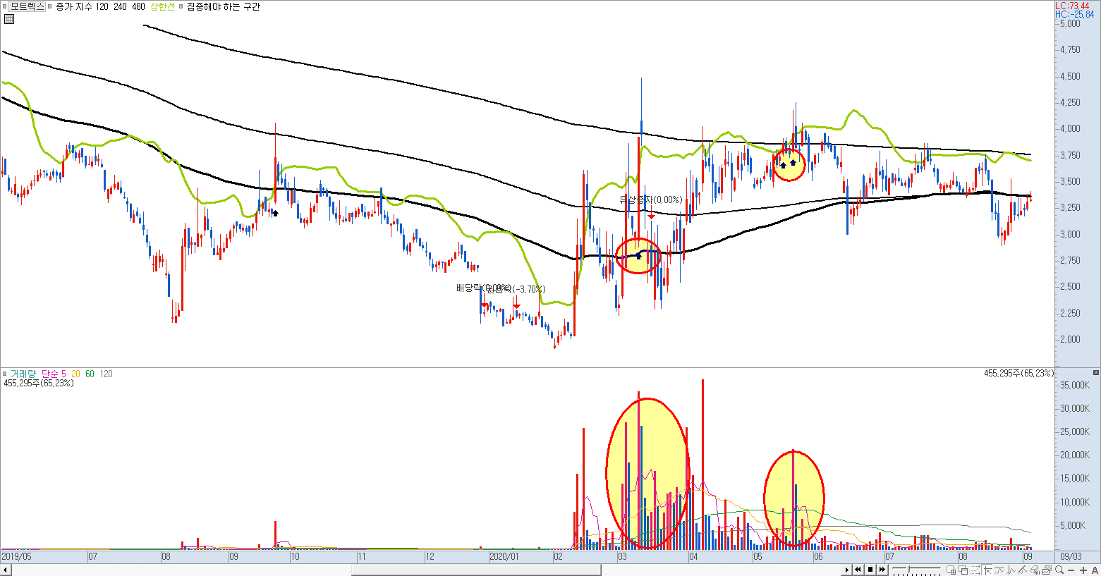 모트렉스 일봉 차트에서 나타나는 확률적인 집중 구간