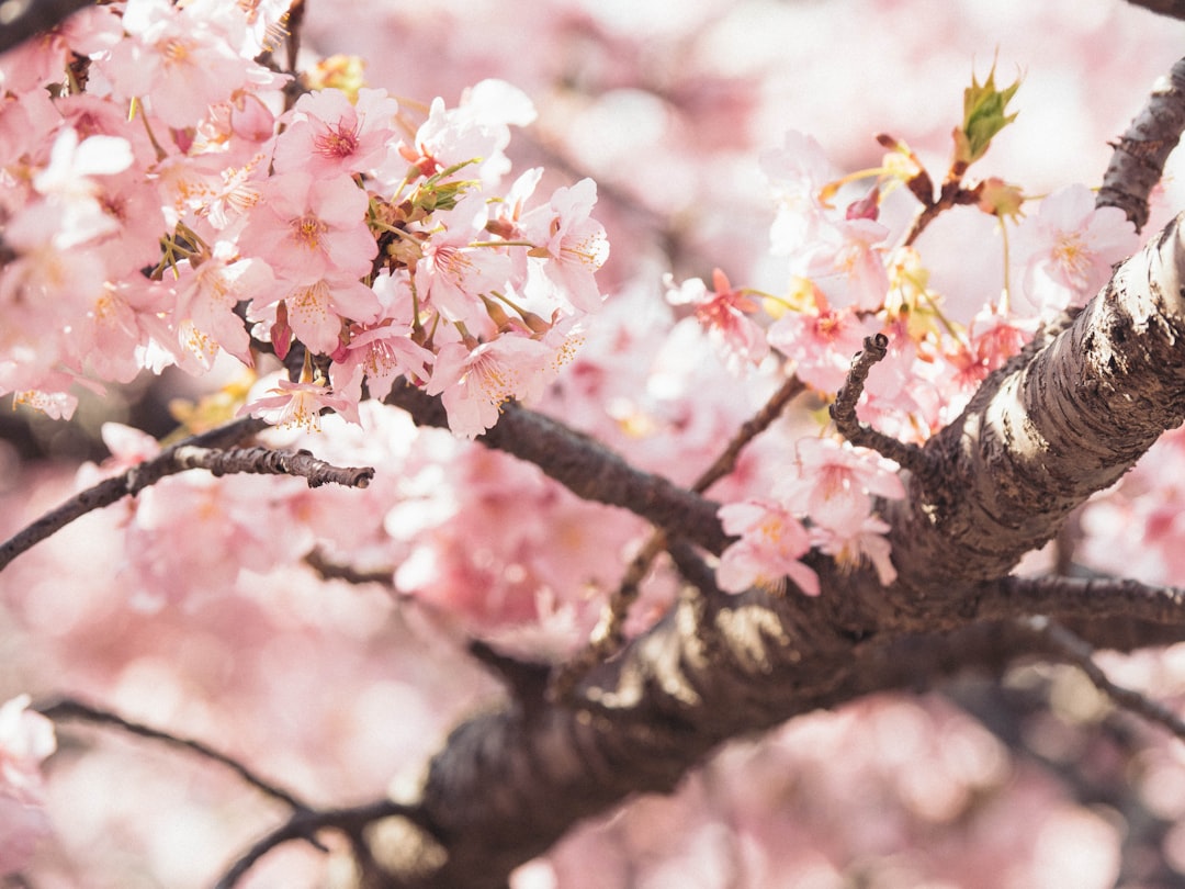 April