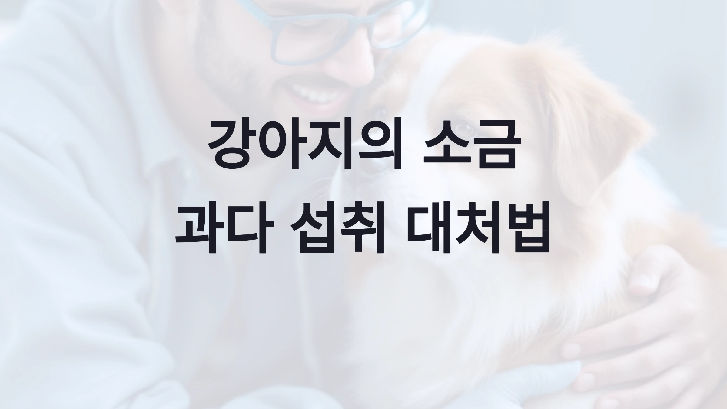 소금 과다 섭취 예방 방법
