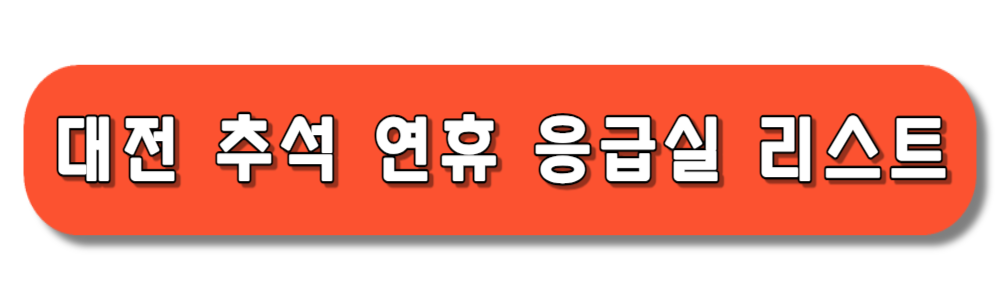 대전 추석 연휴 응급실 정보