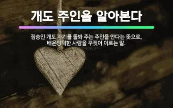 배은망덕 뜻 의미 실제 사례 유래_16