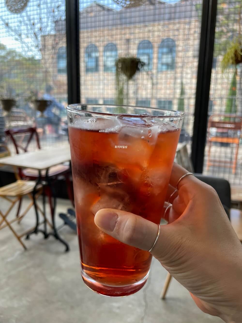 이천 카페 맛집 이진상회 - 유기농 블루베리 루이보스