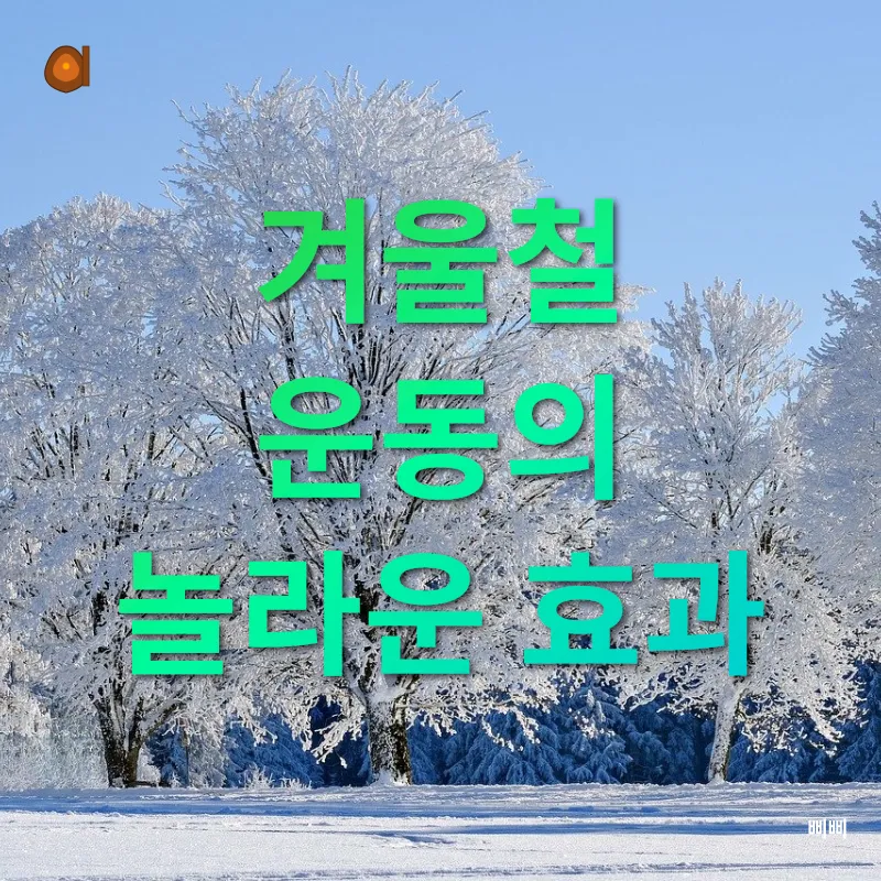겨울철 스포츠 생활화_1