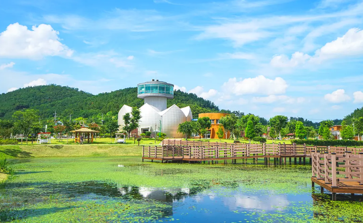 2026 창녕낙동강유채축제 일정 기간 프로그램 가볼만한곳 TOP 03