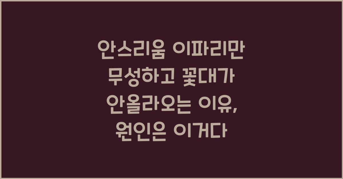 안스리움 이파리만 무성하고 꽃대가 안올라오는 이유