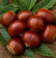 밤 효능