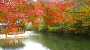 2023 단풍 절정 시기 + 전국 단풍 명소 5 곳 추천