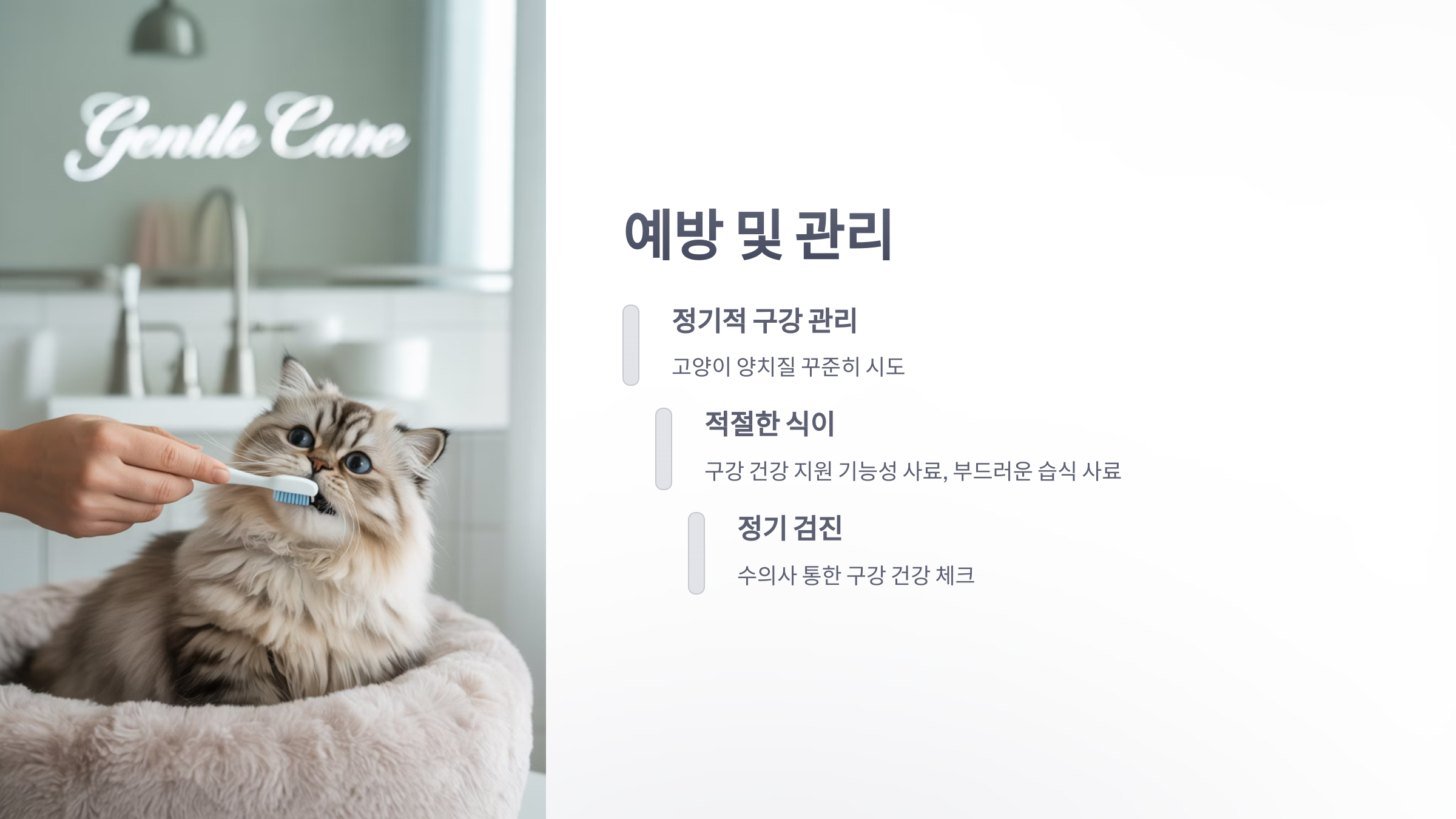 참조-고양이-구내염-5