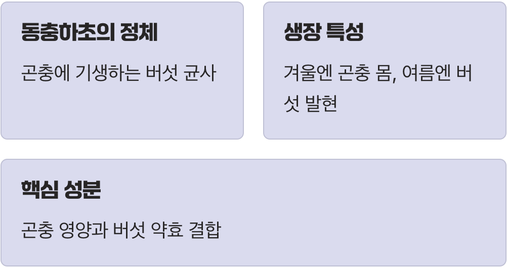 '벌레'가 아닌, '버섯'입니다