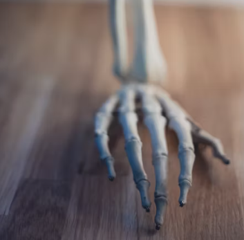 칼슘 영양제 먹는시간 효능 부작용