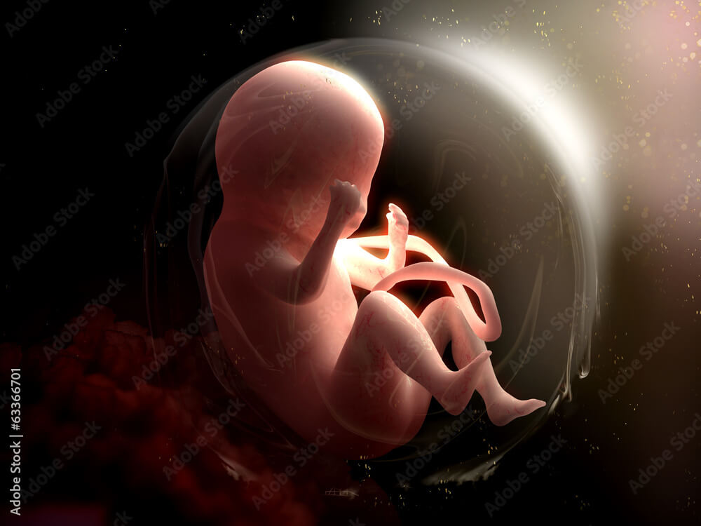 태아보험 가입 시기 및 선택 방법 알아보기