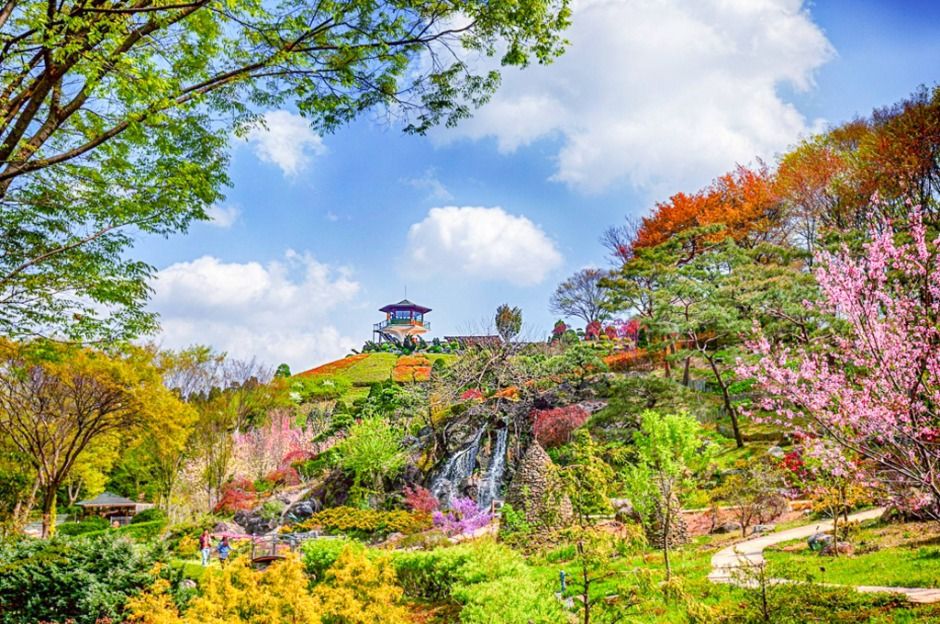세종 베어트리파크 축제