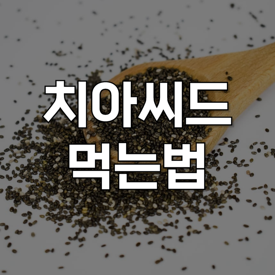 치아씨드 효능과 먹는법 : 구매 시 꼭 체크해야 할 사항