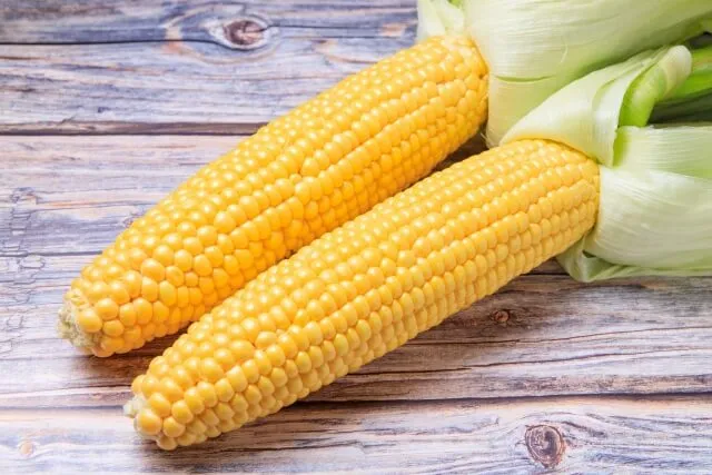 옥수수차 나트륨 배출 도움