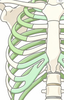오른쪽 갈비뼈 아래 통증