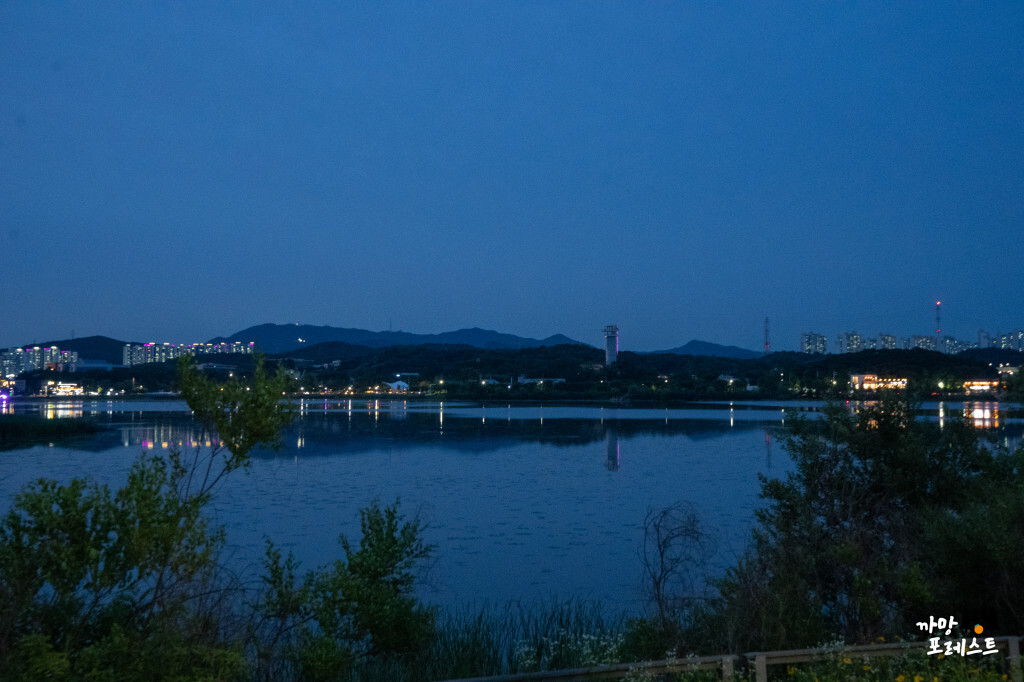 왕송호수 공원 야경