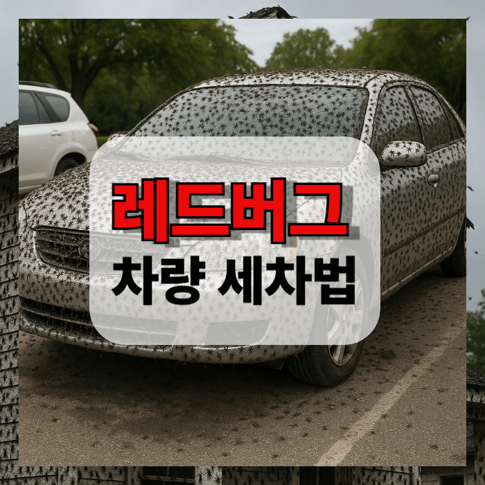 레드버그로 뒤덮인 차량의 모습 중앙에 레드버그 차량 세차법이라는 문구가 쓰여져 있다