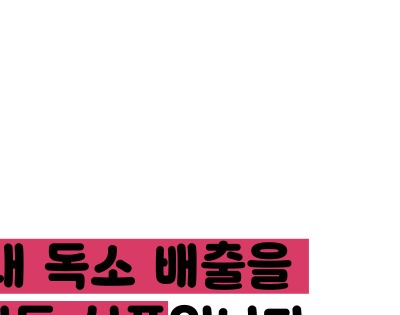 비트 효능 및부작용