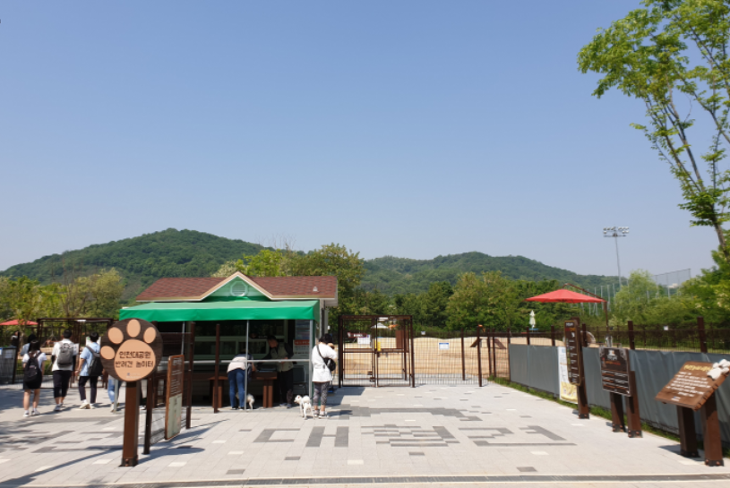 반려동물 놀이터