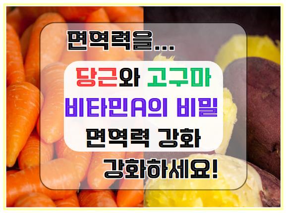 비타민 A의 비밀: 당근과 고구마로 면역력을 강화하세요!