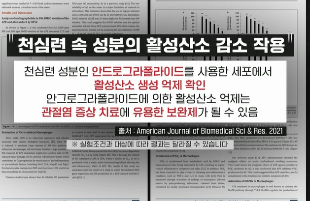 천심련 효능