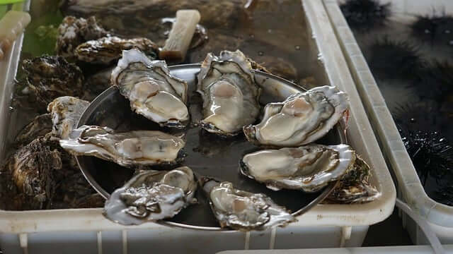 천북 굴단지 맛집