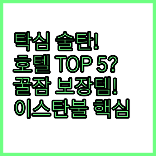 완벽한 이스탄불 여행 탁심 술탄아흐메..