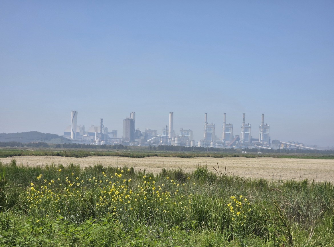 “꾸지나무골해변에서 학암포까지”