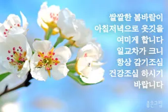 3월 인사말 모음 예시 문자_5