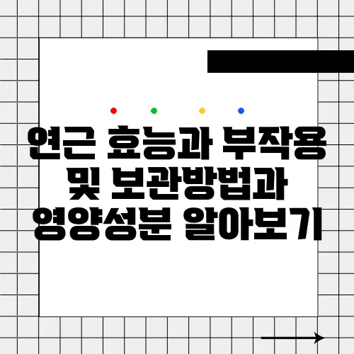 연근 효능과 부작용 및 보관방법과 영양성분 알아보기