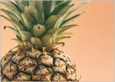 뮤디트 브로멜라인 후기&amp;#44; 효과&amp;#44; 부작용