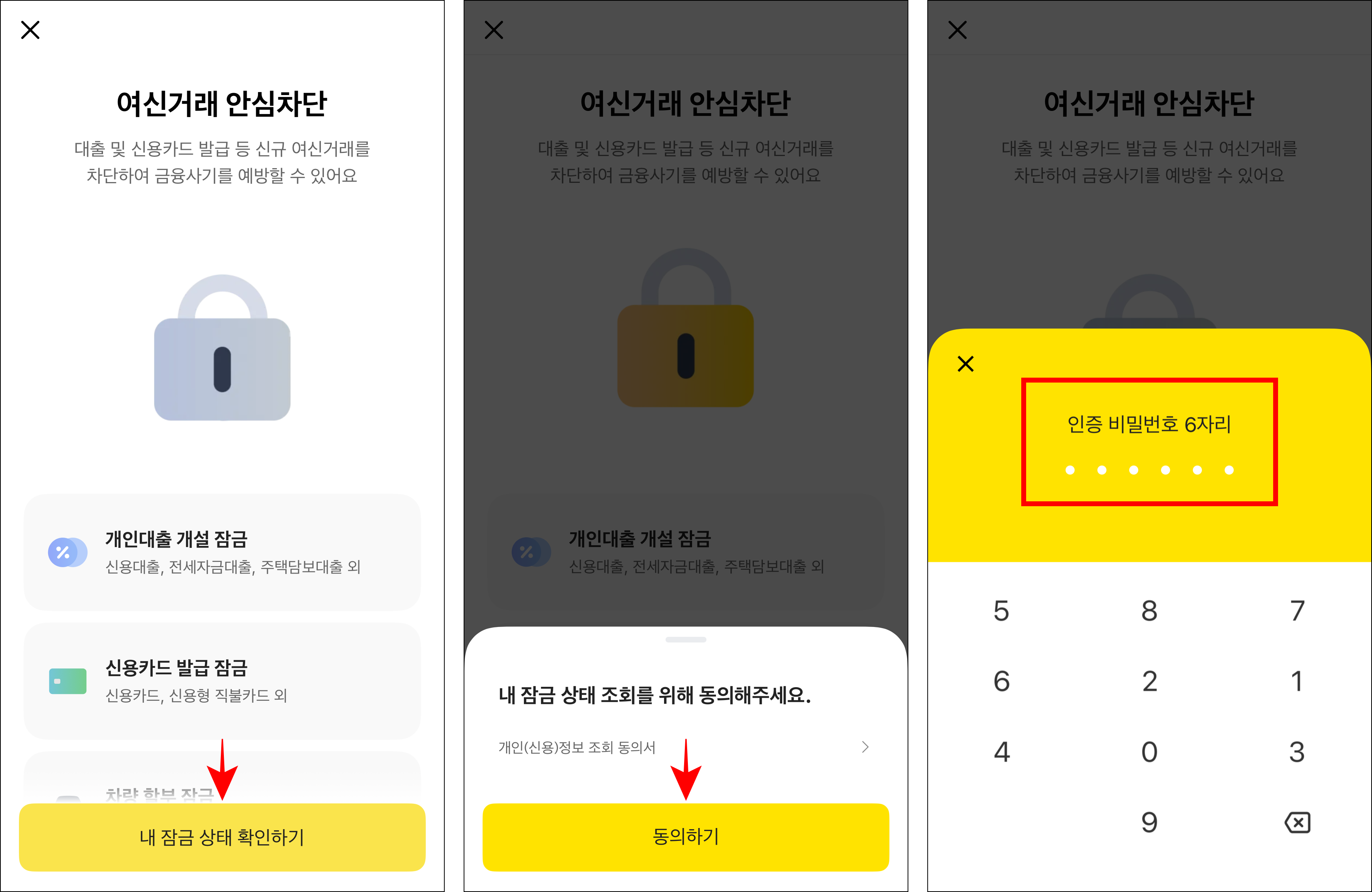 여신거래 안심차단의 '내 잠금 상태 확인하기'를 선택하고, 잠금 상태 조회를 위해 '동의하기'를 선택한 후 인증 비밀번호를 입력