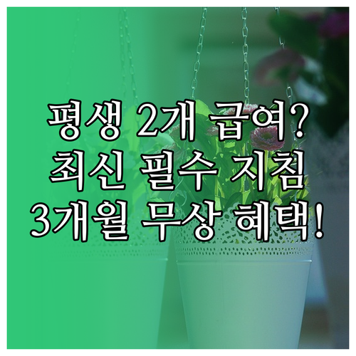 임플란트 평생 2개 급여 한도 및 3..