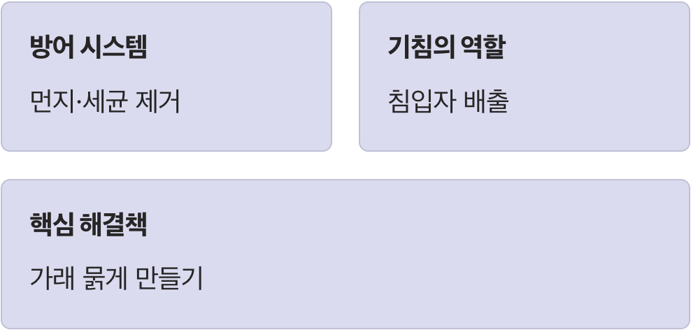 가래는 우리 몸의 착한 청소부