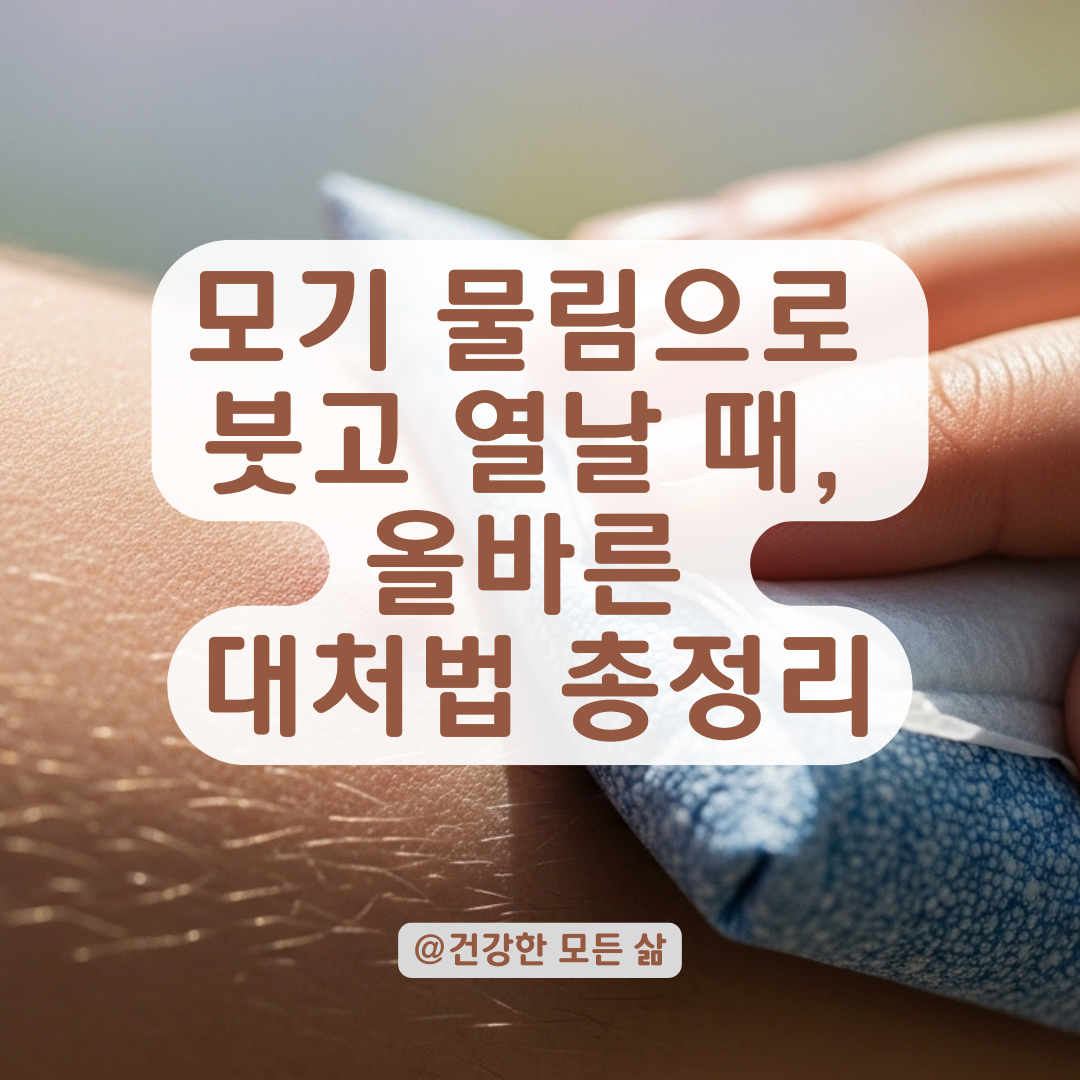 모기 물린 곳이 붓고 열나고 고름까지? 피부과 전문의가 말하는 체크포인트와 대처법 모음.