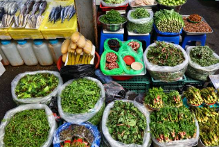 두릅 채취 시기 및 6가지 효능 (+ 요리 장아찌 만드는 법 보관법)