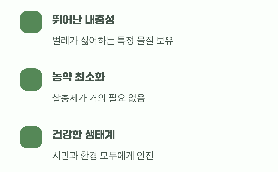 벌레들이 싫어하는 특별한 나무
