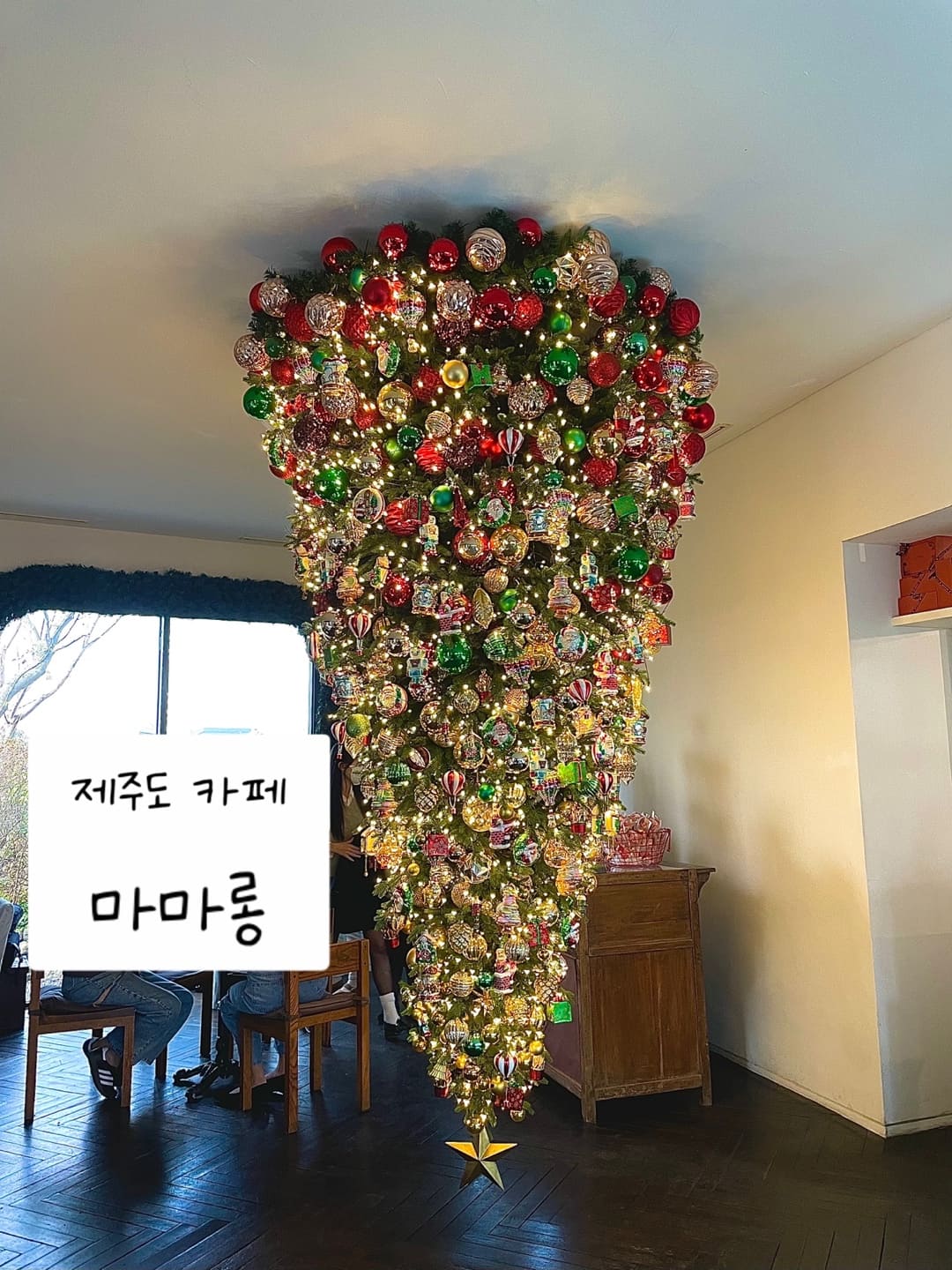 제주도 카페 추천 마마롱 거꾸로 트리