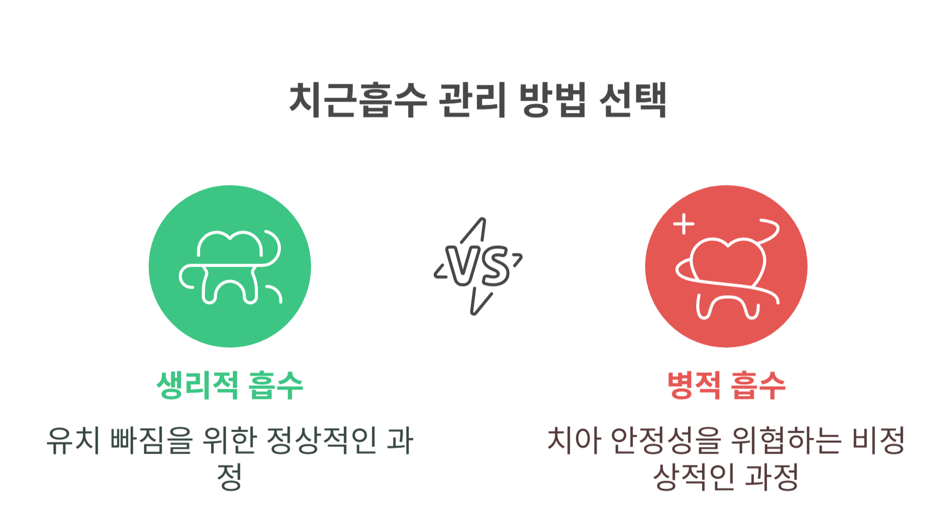 치근흡수란 정확히 무엇인가