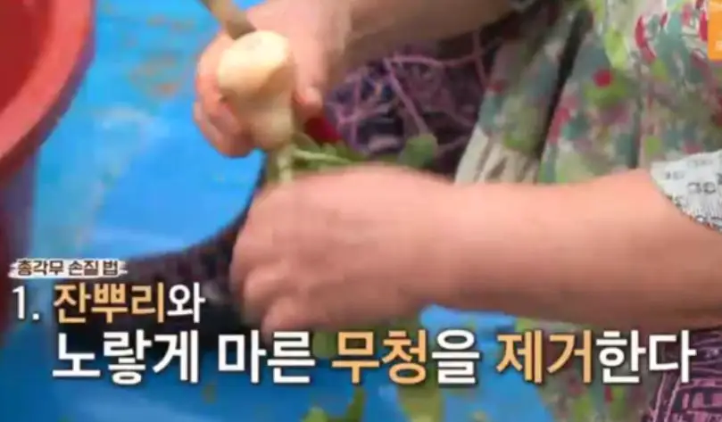 총각무 다듬고 절이기