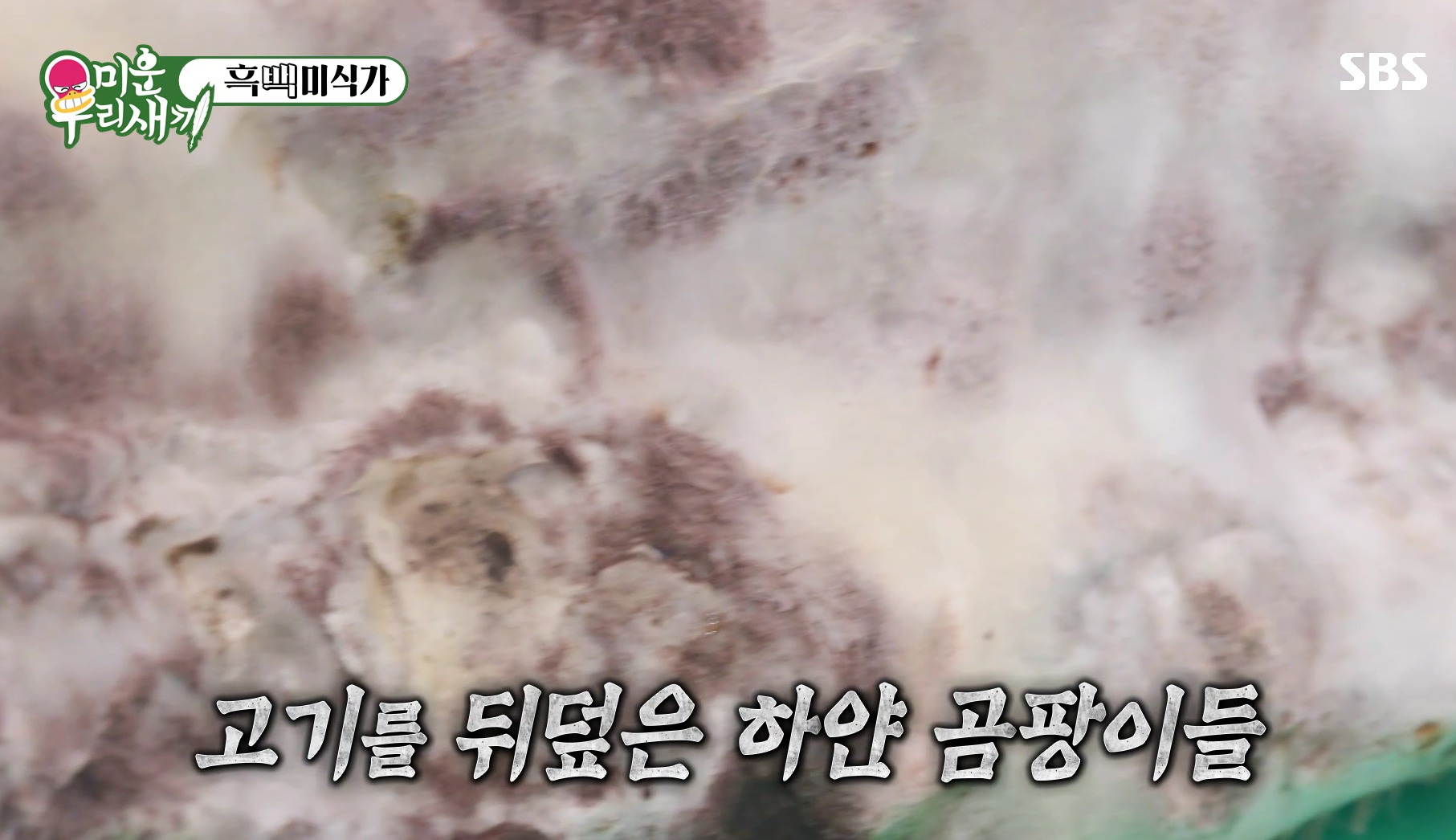 배성제-숙성시대