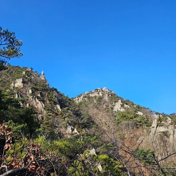 용봉산풍경