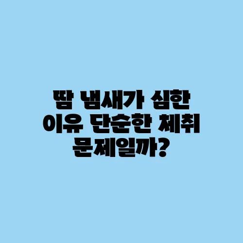 땀 냄새가 심한 이유 단순한 체취 문제일까?
