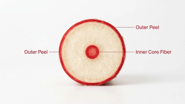 도라지청 쓴맛 원인 껍질 속심 사포닌 설명